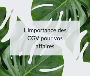 Zoom sur l'importance des CGV pour une entreprise