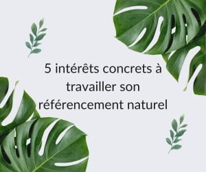 Pourquoi faire du SEO