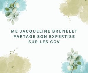 Me Brunelet met en lumière les enjeux des CGV grâce à son expertise