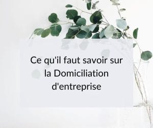 Comprendre la domiciliation commerciale d'entreprise