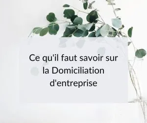 Comprendre la domiciliation commerciale d'entreprise