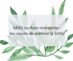 SASU ou Auto-entreprise ? 5 raisons de préférer la SASU