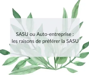 SASU ou Auto-entreprise ? 5 raisons de préférer la SASU